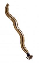 Land Planarian